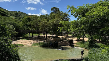 苏梅岛大象王国