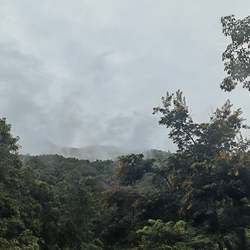 景谷热带雨林公园