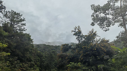 景谷热带雨林公园第 1 张图片