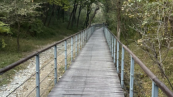 百望山-曲径烟深栈道