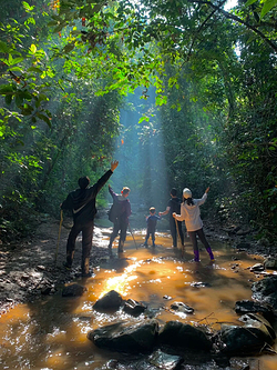基诺山雨林徒步