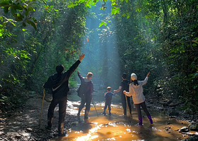 基诺山雨林徒步