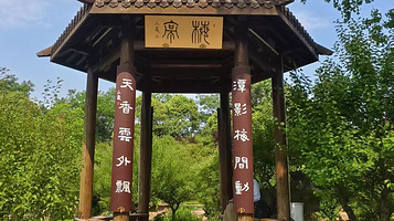 瘦西湖湖上梅林