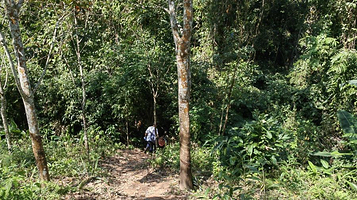基诺山司土小寨雨林徒步
