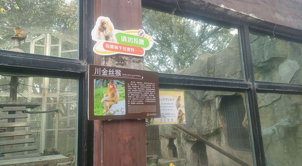 猴馆-川金丝猴