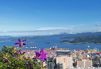 广东梧桐山国家森林公园第 16 张图片