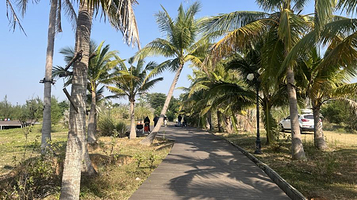 落日海岸·营地