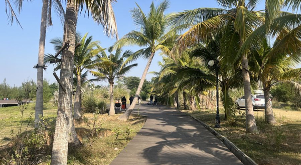 落日海岸·营地