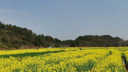长沙县五福村金银坝第 1 张图片