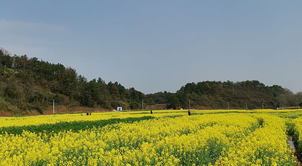 长沙县五福村金银坝