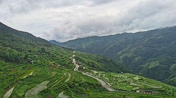 党旮梯田
