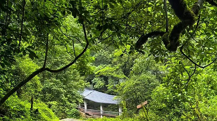 茶马古道旅游景区第 1 张图片