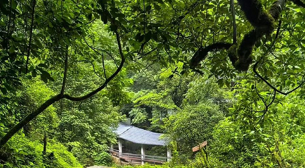 茶马古道旅游景区