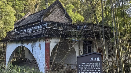 蜀南竹海·观海楼第 1 张图片