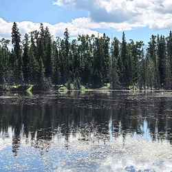 喀纳斯湖边观景台