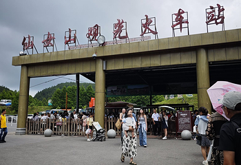 仙女山国家森林公园第 79 张图片