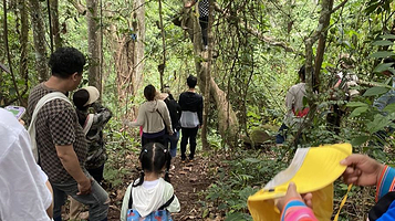 基诺茨土超越雨林徒步