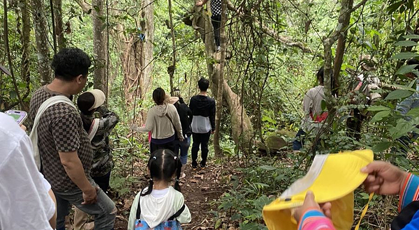 基诺茨土超越雨林徒步