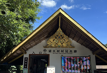 西双版纳热带雨林国家公园望天树景区第 133 张图片