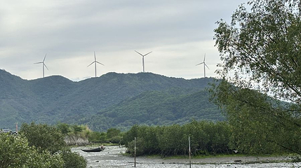 白沙村红树林湿地公园第 1 张图片