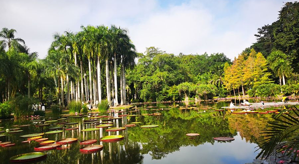 中国科学院西双版纳热带植物园-东游览区