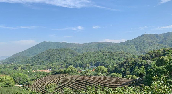 双灵茶村山顶观景平台