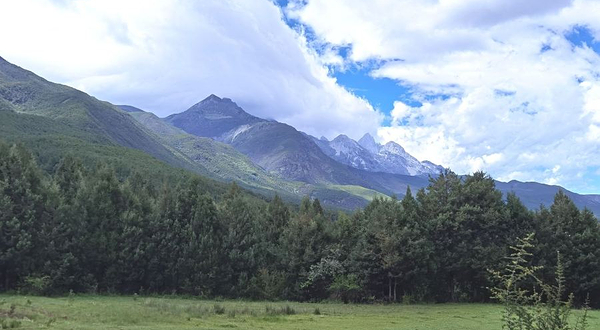 马啃菠萝马术俱乐部