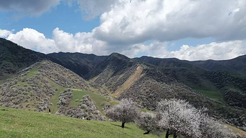 吐尔根杏花大峡谷