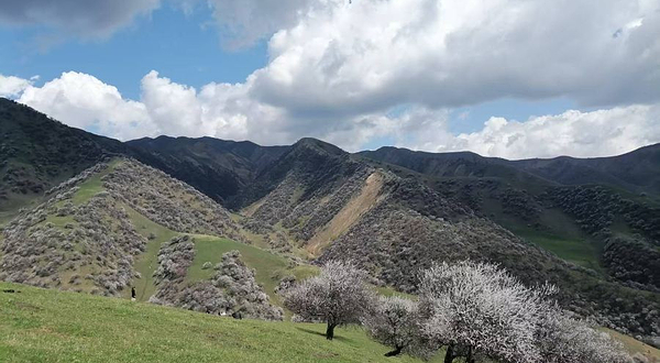 吐尔根杏花大峡谷