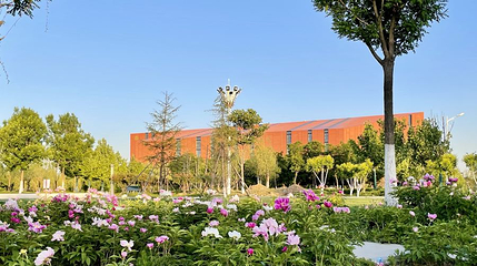 中新友好花园第 1 张图片