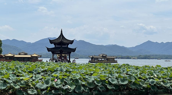 杭州西湖观荷区