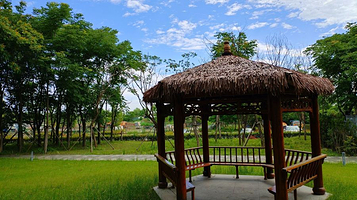 曹娥江风景名胜区