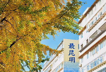 文林街第 1 张图片