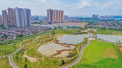 张公堤城市森林公园第 1 张图片