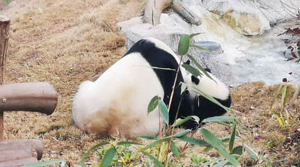 星星产房第 1 张图片