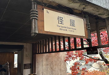 婺源篁岭景区第 221 张图片