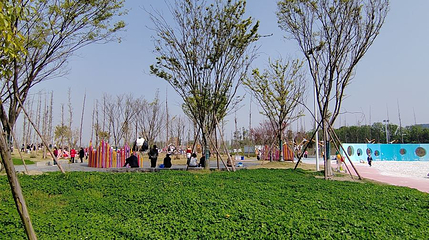 百仁城市文化公园第 1 张图片