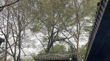 西溪国家湿地公园-溪居林院第 1 张图片
