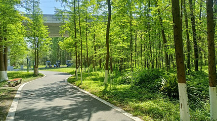 崇州市北溪湿地第 1 张图片