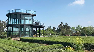 成佳茶叶休闲旅游区