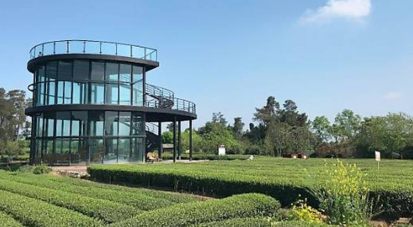 成佳茶叶休闲旅游区