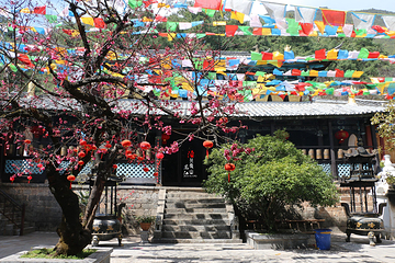 玉峰寺第 17 张图片