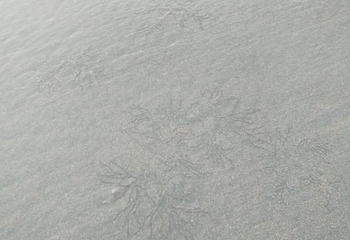 鹿栏晴沙景区第 22 张图片