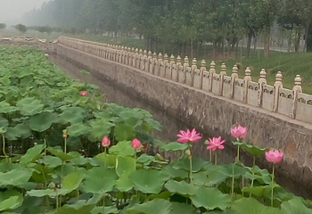汇馨芳香世界第 9 张图片