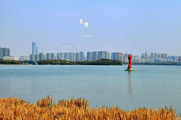 长广溪湿地公园第 25 张图片