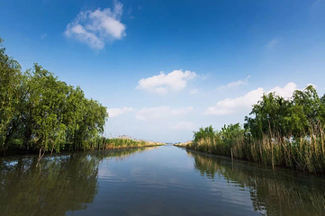 高邮湖芦苇荡湿地公园第 27 张图片