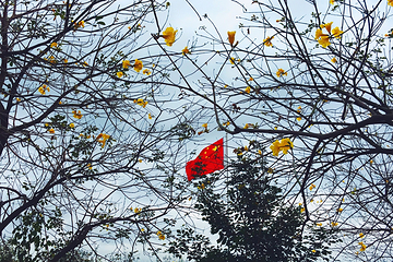 华南农业大学第 15 张图片