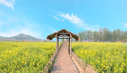 青岛西海岸生态观光园第 27 张图片
