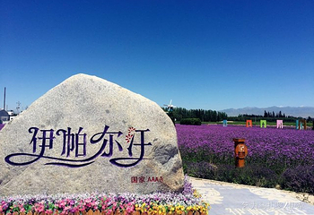 伊帕尔汗薰衣草观光园第 67 张图片