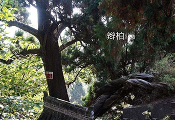 玉泉景区第 37 张图片
